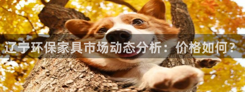 沐鸣2注册登陆：辽宁环保家具市场动态分析：价格如何？