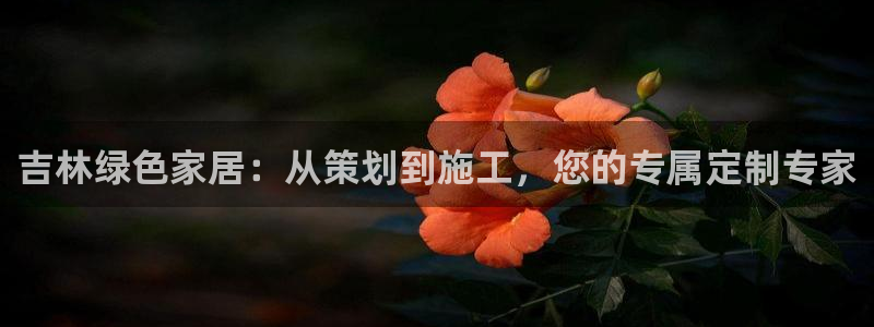 沐鸣2注册登录官网：吉林绿色家居：从策划到施工，您的专属定制