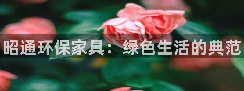 沐鸣2代理日工资多少
