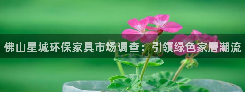 沐鸣2平台代理怎么赚钱的：佛山星城环保家具市场调查：引领绿色