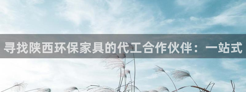 沐鸣2平台黑款：寻找陕西环保家具的代工合作伙伴：一站式