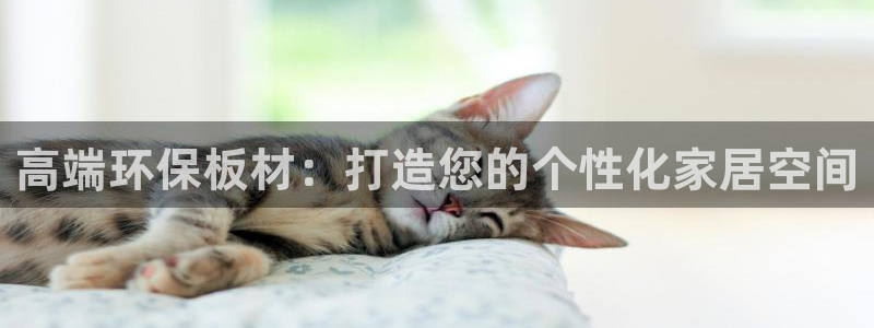 沐鸣2官网游戏