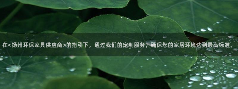 沐鸣2官网网站中心：在<扬州环保家具供应商>的指引下，通过我