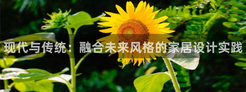 沐鸣2平台分红：现代与传统：融合未来风格的家居设计实践
