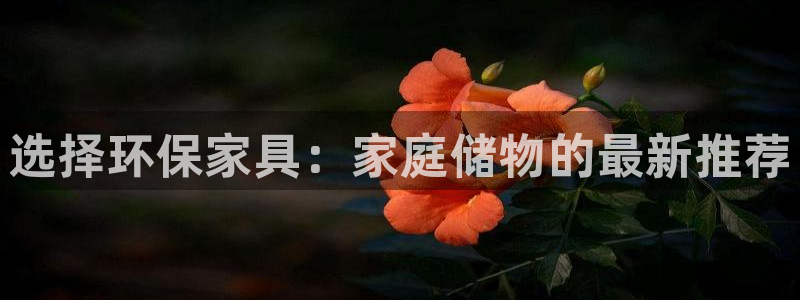 沐鸣2平台开户：选择环保家具：家庭储物的最新推荐