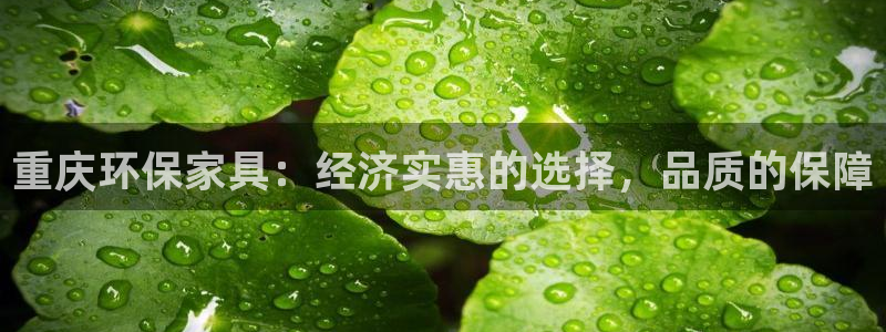 沐鸣2平台注册入口：重庆环保家具：经济实惠的选择，品质的保障