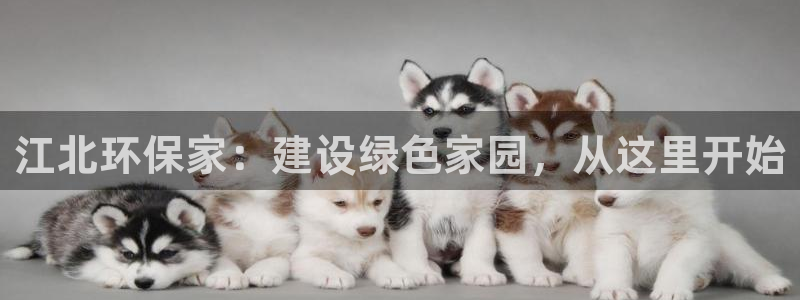 沐鸣2是什么平台