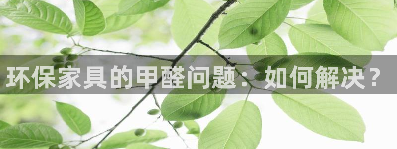 沐鸣2平台注册代理：环保家具的甲醛问题：如何解决？