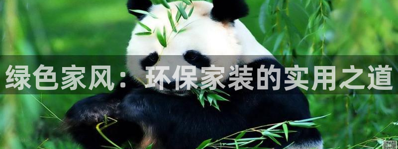 沐鸣2平台登录：绿色家风：环保家装的实用之道