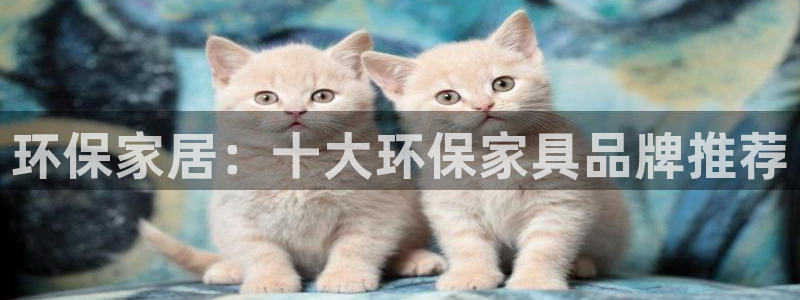 沐鸣2平台在哪里