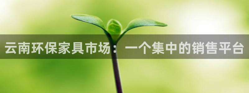 沐鸣2平台得专用通道：云南环保家具市场：一个集中的销售平台